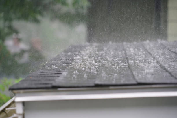 Best Storm Damage Roof Repair  in Terrell Hills, TX